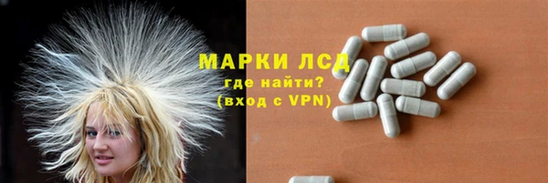 ГАЛЛЮЦИНОГЕННЫЕ ГРИБЫ Заволжье